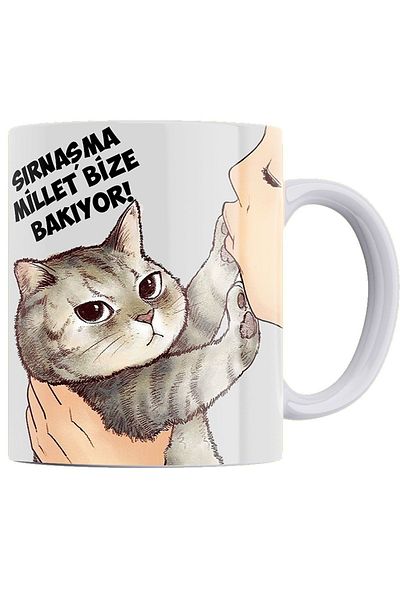 remonz Cute Cats Series Double Side Printed White 100% Porcelain Mug 8