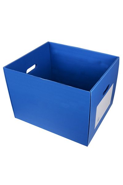 Temel Archive Collector 5 Pieces Folder Capacity Blue 5 Pieces