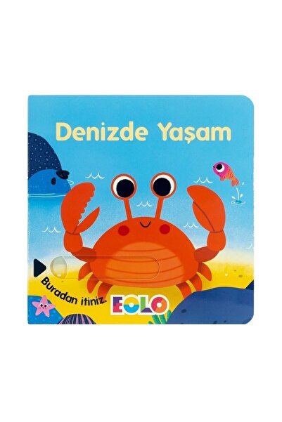 eolo yayınları Denizde Yaşam Sürgülü Çocuk Kitapları