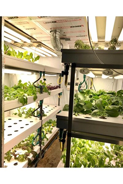 DNR BİTKİ YETİŞTİRME LEDİ 1.2 METRE LED ARMATÜR