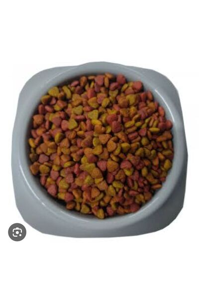 Roxin Tavuklu Yetişkin Çok Renkli Kedi Maması 6 Kg