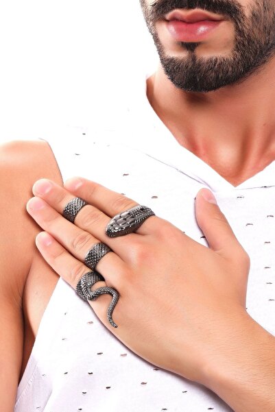 LABALABA Men's Metallic Anthracite Lacquer Plated Adjustable 4-Piece Snake Ring Set