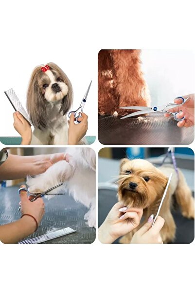 Genel Markalar Oval paslanmaz çelik hayvan traş makası, kedi ve köpekler için ideal araç