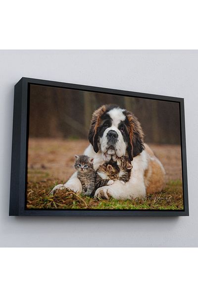 Harita Sepeti Tablou decorativ pe pânză pentru câini și pisoi St. Bernard-1124