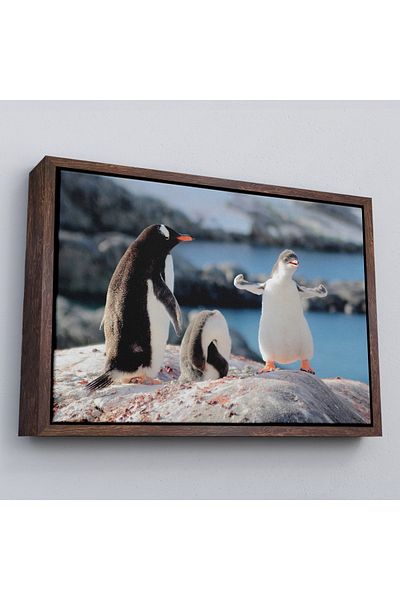 Harita Sepeti Tablou decorativ pe pânză Happy Penguins cu cadru-1172
