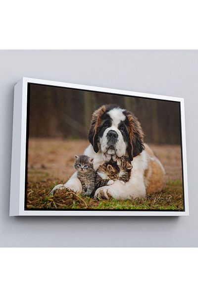 Harita Sepeti Tablou decorativ pe pânză pentru câini și pisoi St. Bernard-1124