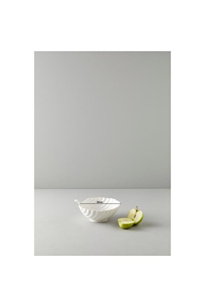 Be Original حافظة أويستر مقاس 22 سم من ماركة مميزة