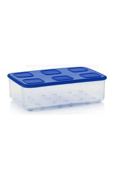 Tupperware Fridge Storage Container