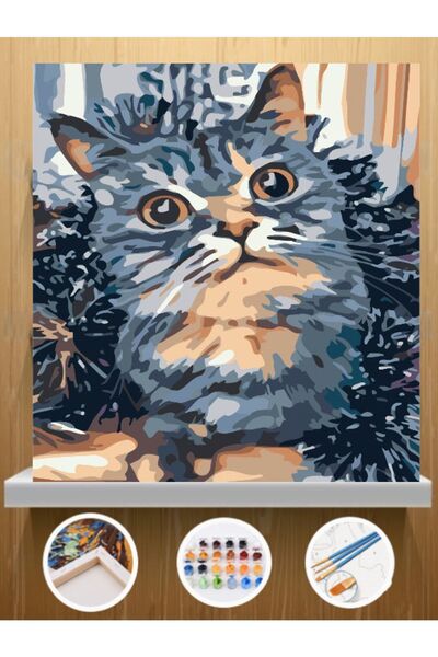 CNS HOBBY TUVAL Sayılarla Boyama Hobi Seti 30x40 Cm Çerçeveli Tuval Seti Fırç...