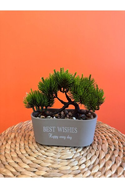 618 CONCEPT بونزاي صناعي مع وعاء