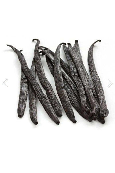 DOĞA NİMETİ Çubuk Vanilya %100 Doğal Yeni Mahsul Vanilla Stick 1 Adet