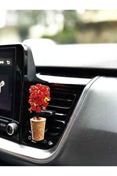 Plantarrium Design Oto Aksesuar/Koku-Minyatür Ağaç