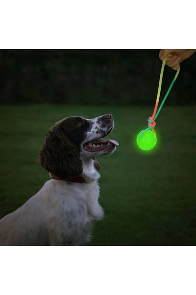 Mixpet 6cm Shining Dog Training Flossing Toy