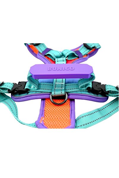 Bunico Reflective Dog Collar - Gradient