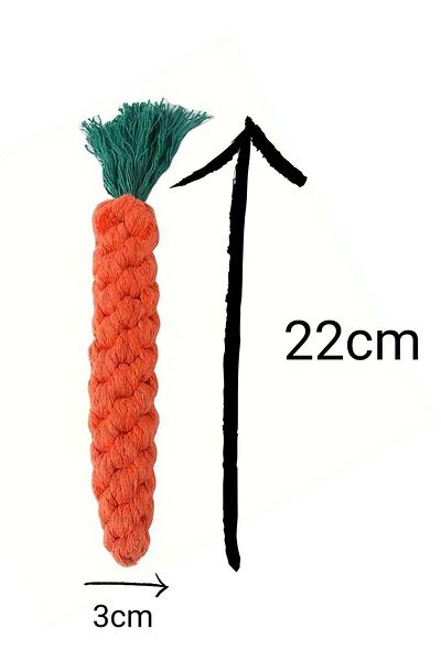Oli and Lui Fun Chewing Lanyard for Dogs - Carrot Crazy! New Dog Toy