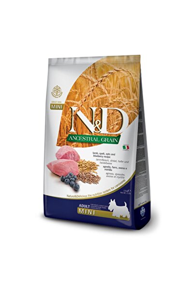 N&D Düşük Tahıllı Kuzu Etli Yaban Mersini Mini Adult Köpek Maması 2,5 kg