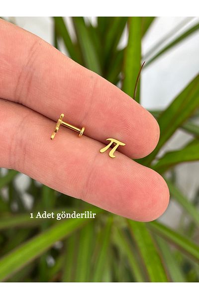 Karınca Piercing Gold Colored Math Pi Number - Flat Tragus Forward Helix Piercing Ear Earring