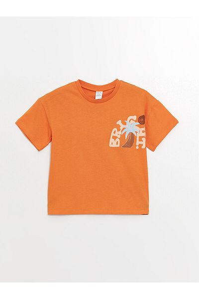 LC Waikiki LCW Baby Boy T-Shirt - Crew Neck, Short Sleeve, Printed