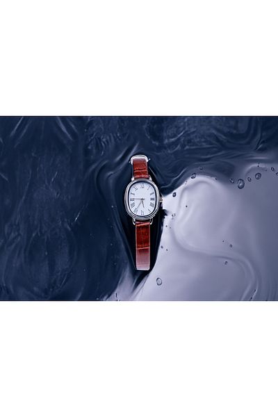 QUARTZ Women's Wristwatch - Steel Case