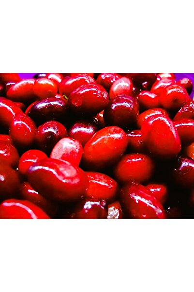 Erzurum İpekgurme Erzurum Ipekgurme Donmuş Kızılcık Meyvesi 1kg Temiz