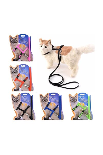 ÖzSima 120 Cm Ayarlanabilir Kedi Göğüs Tasması