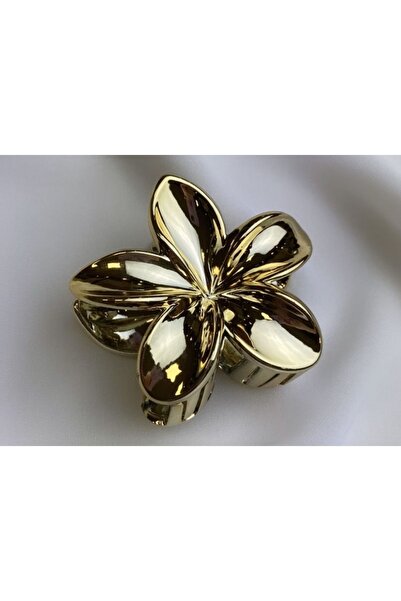 NİLLS STORE تاييم جولد لوتس