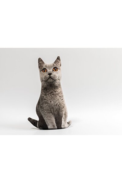 Pethoven Kedi şeklinde yastık "british shorthair"