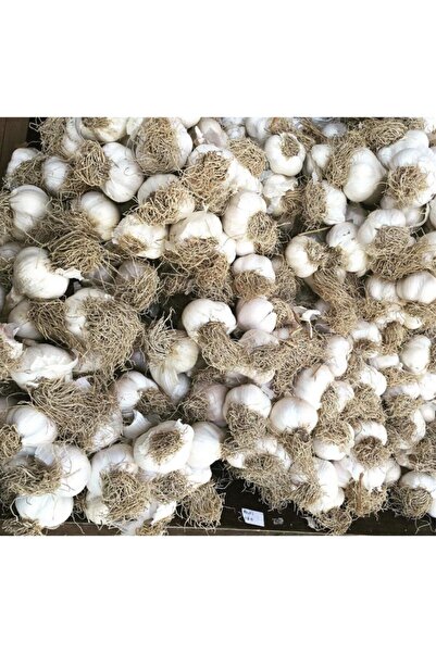 Dereköy Yöresel Ürünler Kastamonu Taşköprü Sarımsağı 500 gr