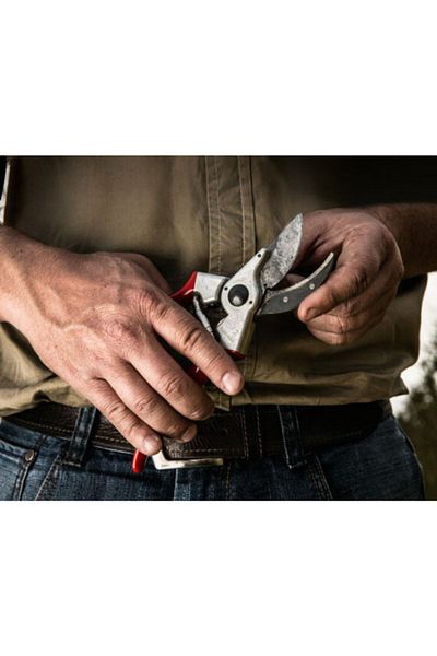 Felco 21.5 cm New Type Pruning Shears - 110220