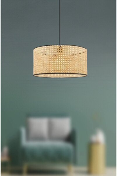 retro home design Orijinal Hazeran Rattan Salon Mutfak Kış Bahçesi Sarkıt Modern Avize