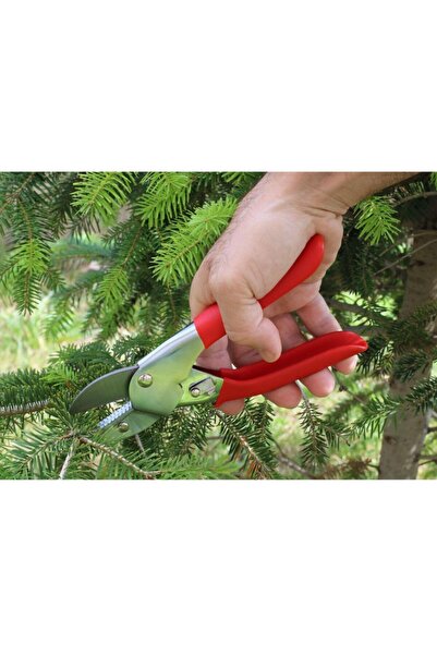 Badem10 Maxgarden Anvil Type Pruning Shears Garden Plant Flower Tree Branch Pruning Shears 8"