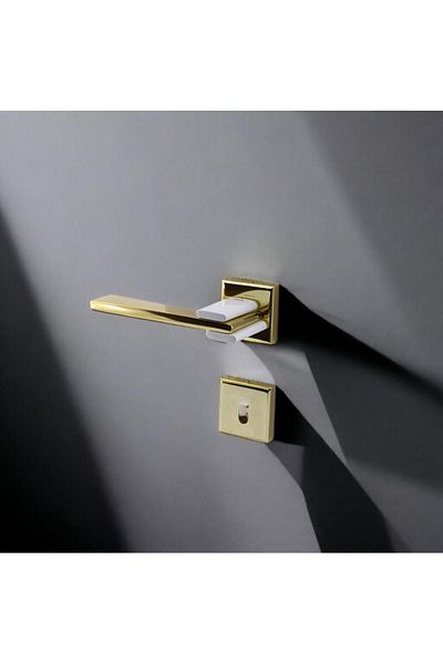 Badem10 Fulya Luxury Gold Room Door Handle Gold Rosette Sliding and Steel Door Door Handle Suitable for Right Left