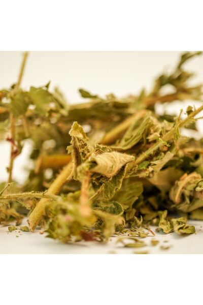 zin natural Natural Sheep Herb (Hernia) 30 Gr