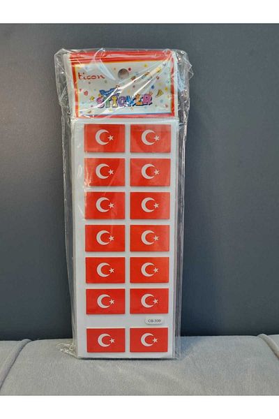 Ticon 14*20 Adept Flag - Planner, Diary, Educational and Current Sticker