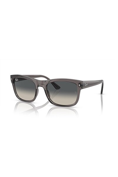 Ray-Ban 4428667571 56 Model Sunglasses