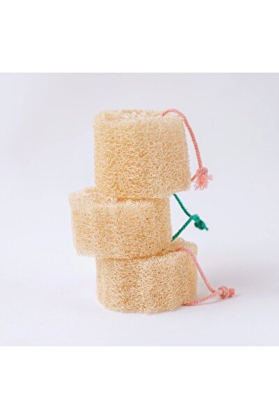 civciv express 3 عبوات من ألياف اليقطين الطبيعية (إسفنجة أطباق)