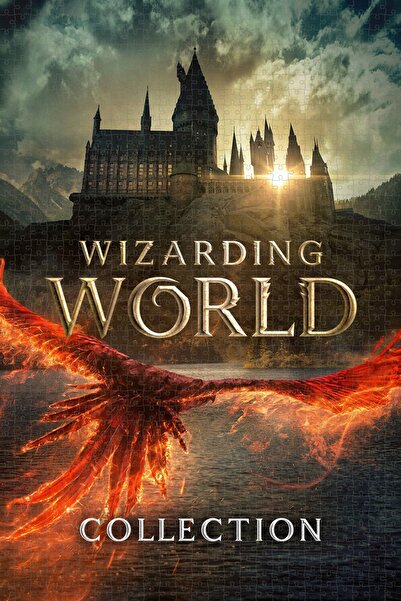 Jeronkarji Wizarding World (of Harry Potter) Collection Film Posterinin 500 P...