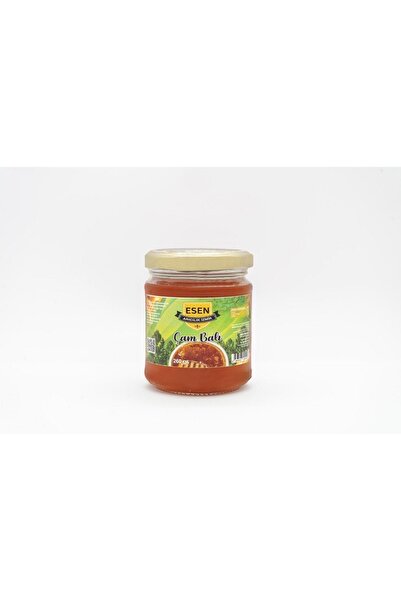 Çam Balı 260 Gr