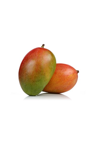 Aymuz Yerli Mango Mis Kokulu 1 Adet (450/650 Gr Büyük Boy)