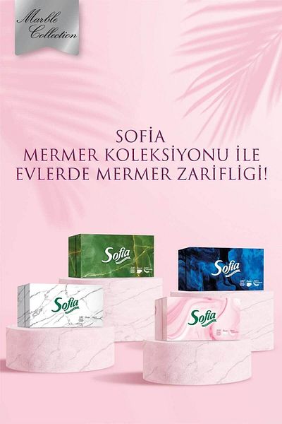 Sofia 4x100 Box Wipes