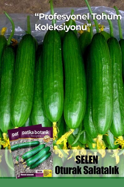 Patika Botanik 10 Adet Selen (ERKENCİ, DİŞİ ÇİÇEK) Salatalık Tohumu