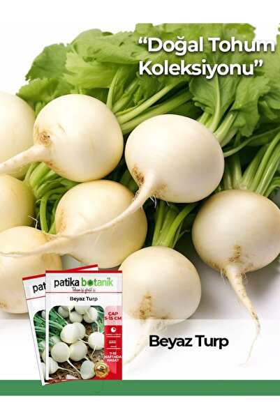 Patika Botanik 500 Adet Beyaz Turp Tohumu