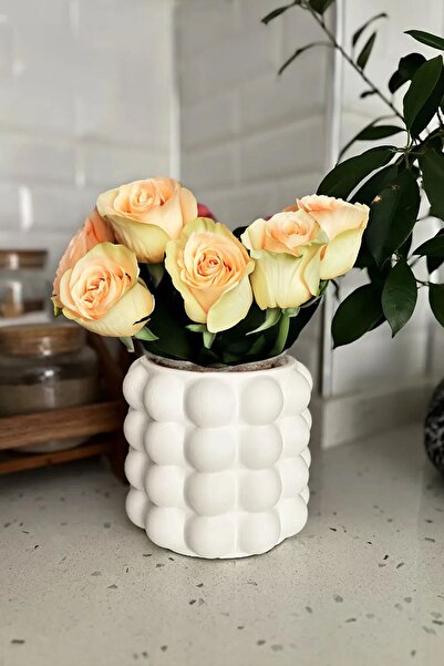 Be Candlous مزهرية خرسانية فقاعية - حامل ملعقة وأصيص زهور ومزهرية خرسانية