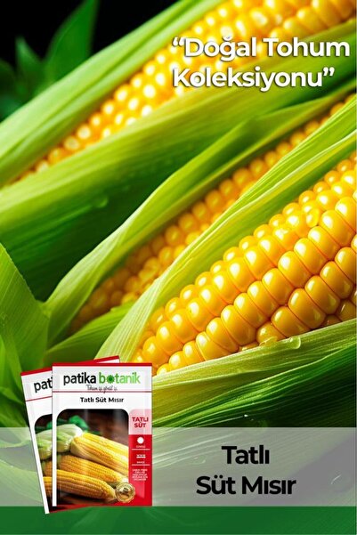 Patika Botanik 50 Adet Tatlı Mısır Tohumu