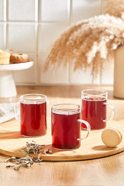 Viwares 3er Set Borosilikat-Glaskrüge – Stilvolle und hitzebeständige Kaffee- und Teetassen