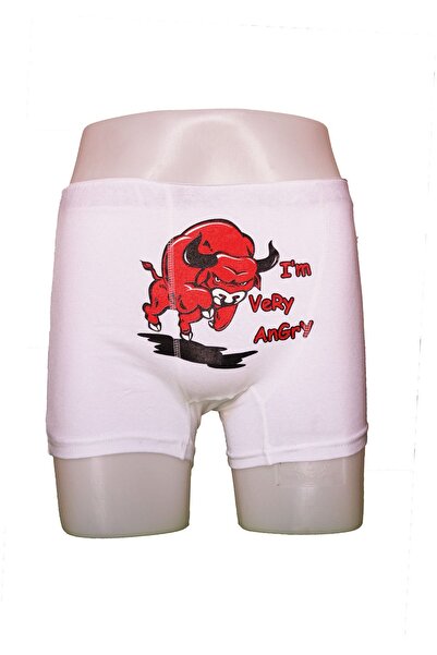 lelies 6'lı Boğalı Erkek Boxer