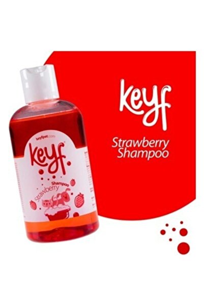 Pet Love Keyf Şampuan Çilek 250 ml