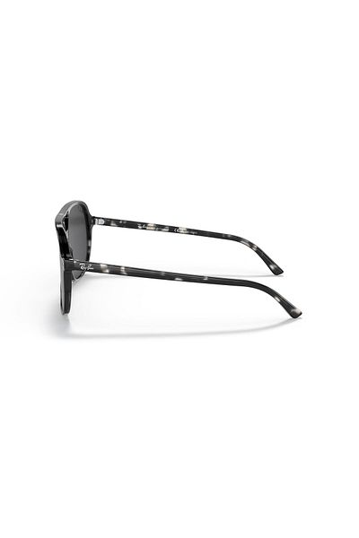 Ray-Ban 2198133348 56 Model Sunglasses