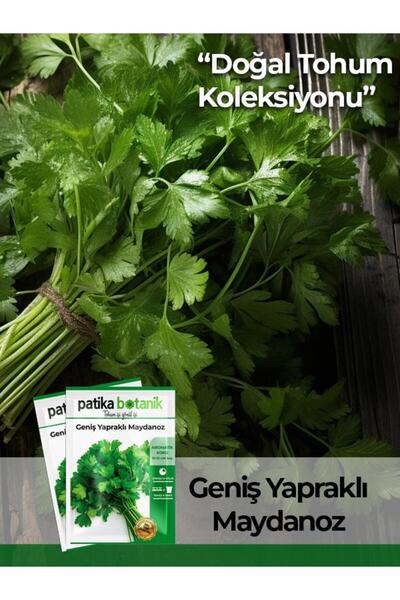 Patika Botanik 4000 Adet Yerli Ata Geniş Yapraklı Maydonoz Tohumu