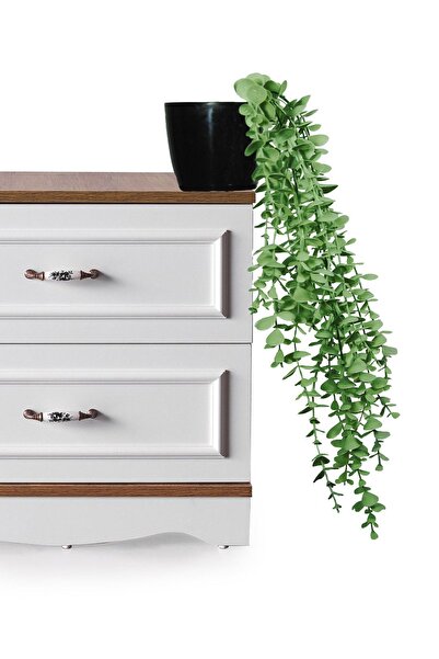 Lilac Home Yapay Çiçek Parlak Siyah Saksıda Yeşil Okaliptus Sarkıtı